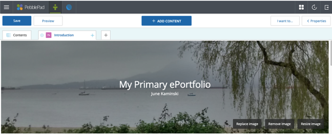 Figure 2: Primary ePortfolio