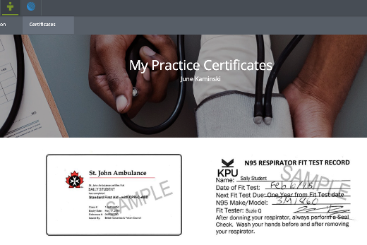 Figure 3: Certificates Display Page