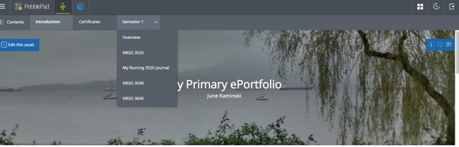 Figure 5: PebblePad ePortfolio Sample (click image for full view)