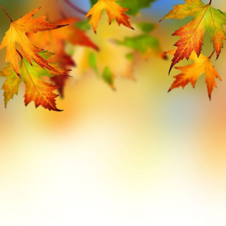 Fall sale