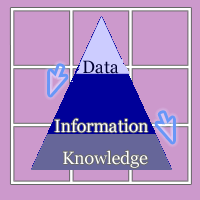 Data-Information-Knowledge Triad