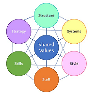 NRTH 106: The McKinsey 7-S Framework 